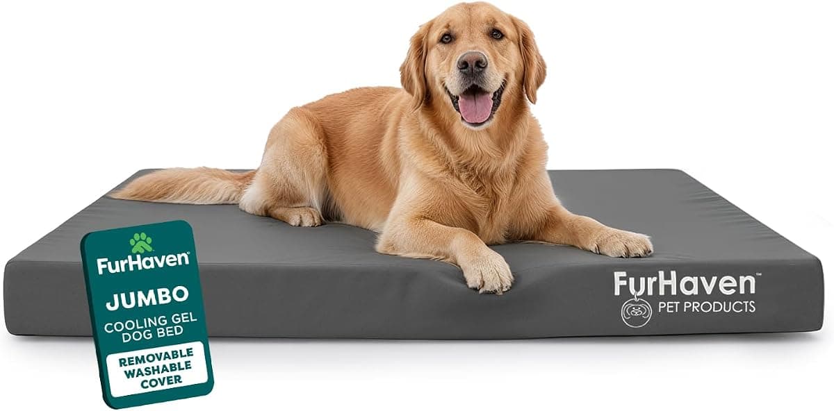 FurHaven Water-Resistant Orthopedic Dog Bed for Large Dogs, Oxford Polycanvas Mattress with Orthopedic Solid Slab Foam for Joint Support, Removable Washable Cover, Jumbo XL, Stone Gray