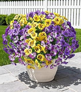Ivydale 20PCS Artificial Fake Pansy Flowers for Outdoors Spring Summer Decor,Faux Silk Pansies UV Resistant Plants for Front Door Porch Yard Patio Window Box Home Decor(Purple Yellow Gradient Purple)